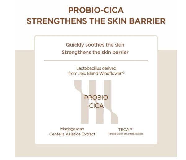 SKIN 1004 - Madagascar Centella Probio-Cica Intensive Ampoule 50ml - Image 5