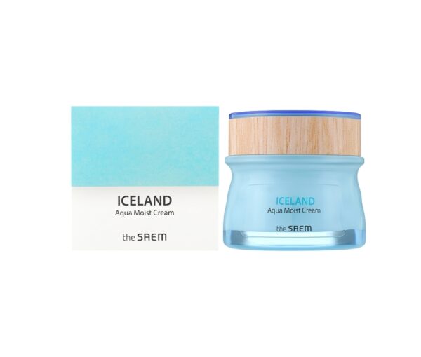 The Saem  Iceland Aqua Moist Cream 60ml