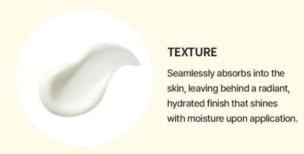 The Saem Eco Earth Light Sun Cream 50ml - Image 5