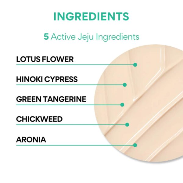 Innisfree UV Active Poreless Sunscreen SPF 50+ PA++++ 50ml - Image 3