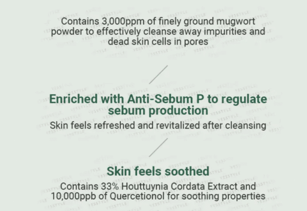 Anua Heartleaf Quercetinol Pore Deep Cleansing Foam 150ml - Image 4