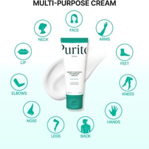 Purito Seoul Mighty Bamboo Panthenol Moisturizer Facial Cream - 100ml